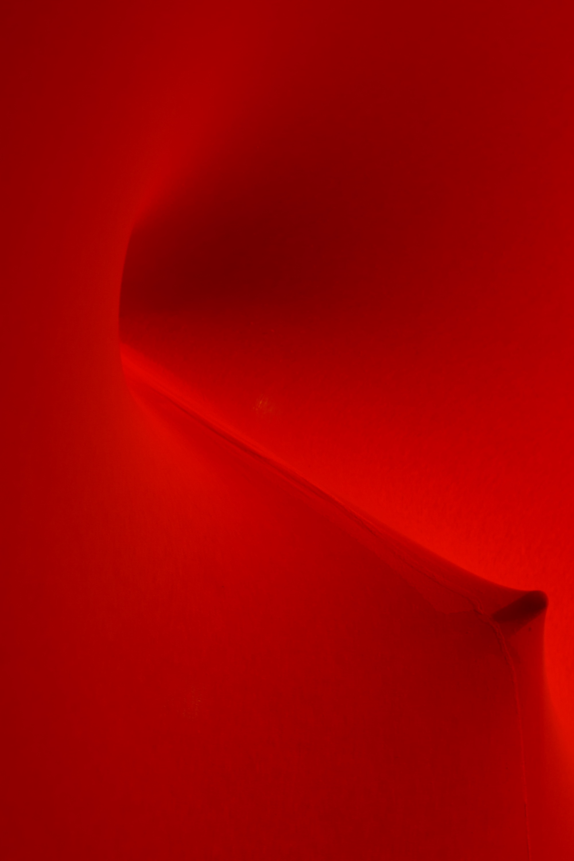 Erogenous Landscape