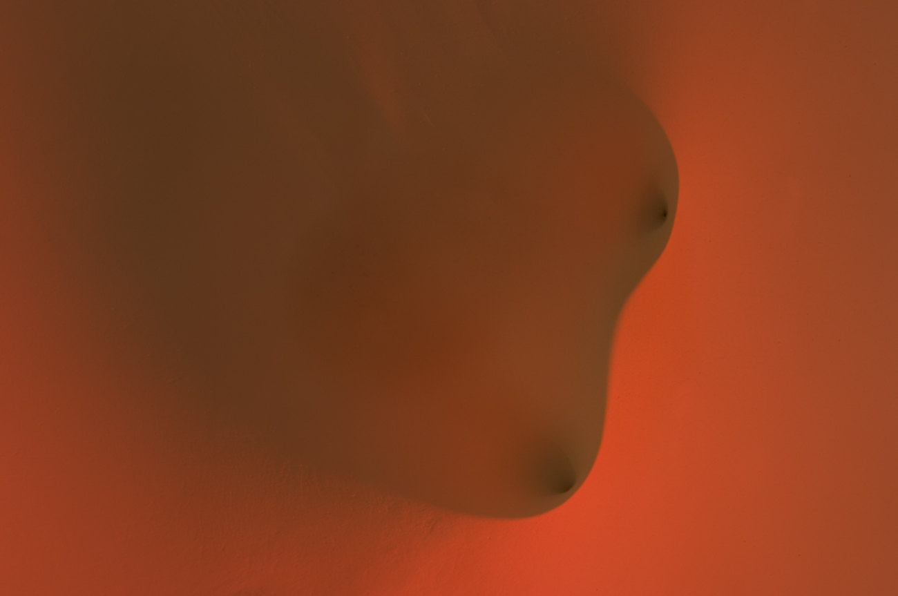 Erogenous Landscape
