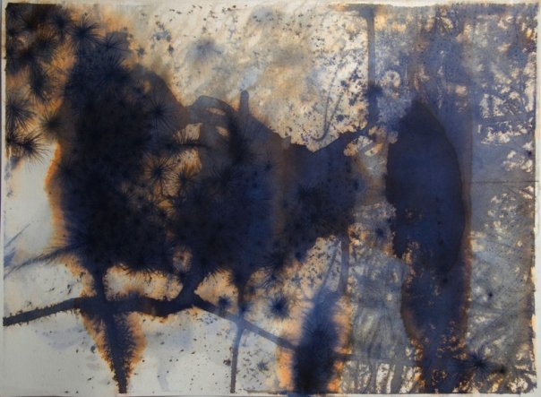 Drawings & Paintings