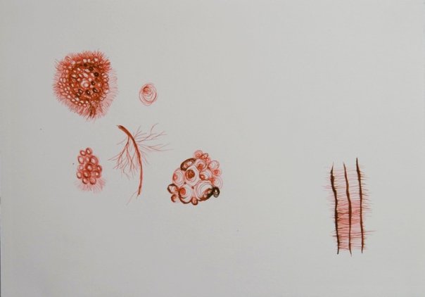 Drawings & Paintings