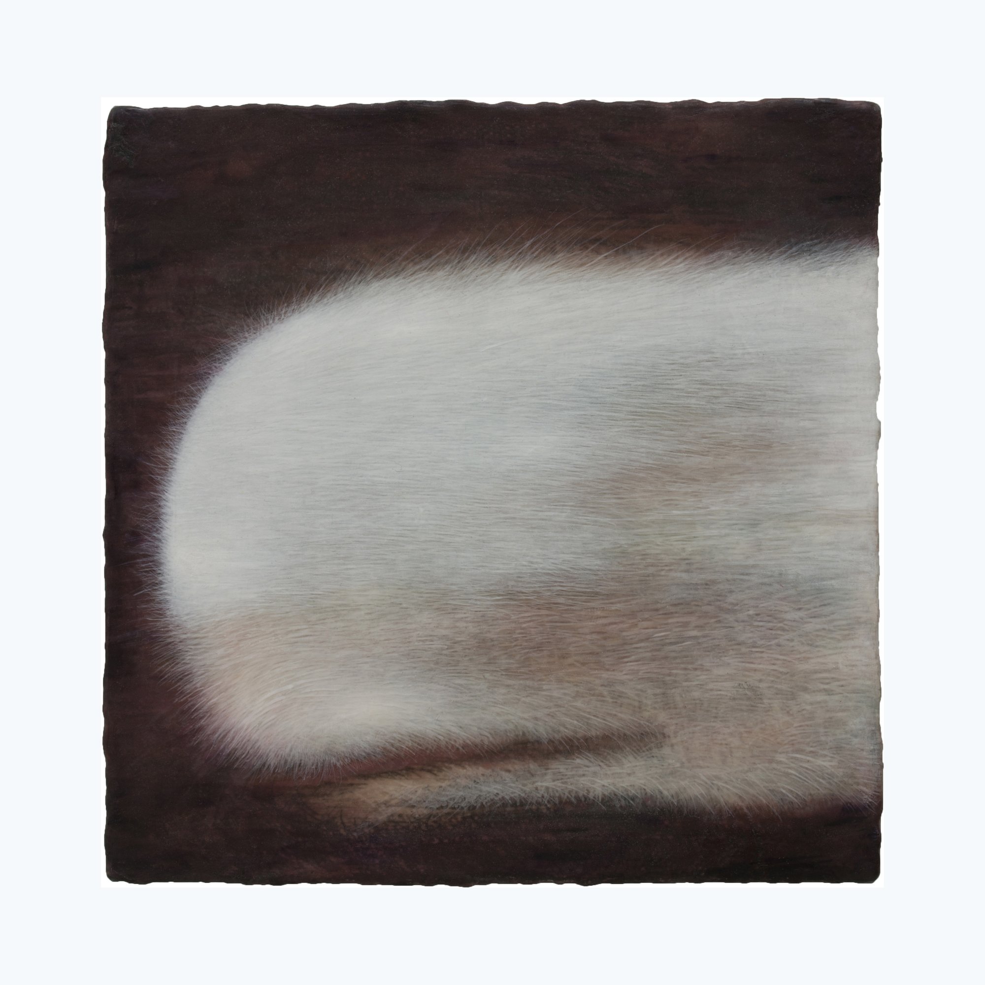 Paintings