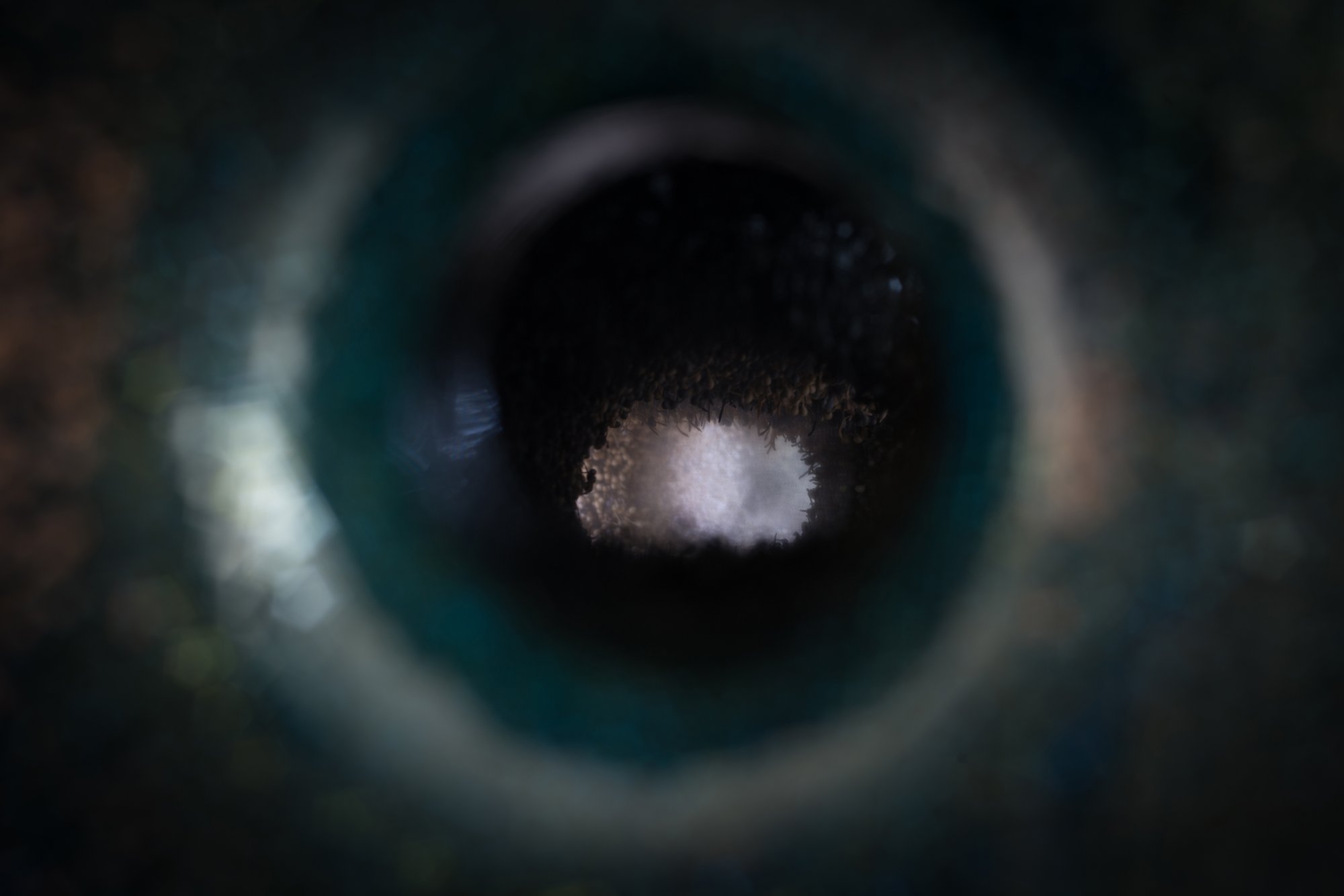 Space of 25 Light Years